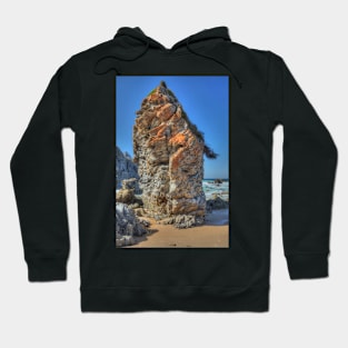 I Am A Rock Hoodie